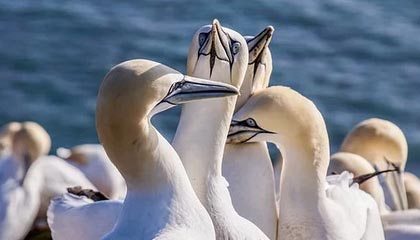 开云体育_ 德甲上半场总结：谁能成为冬窗黑马？，德甲开放球迷入场