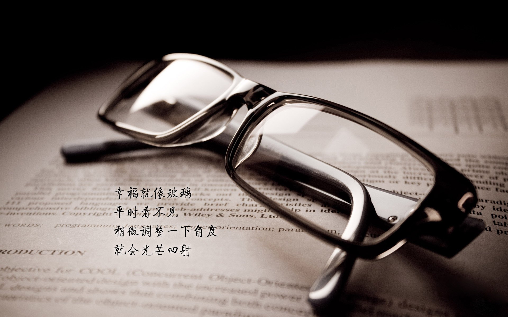 【运动员故事】从新手到世界冠军的奋斗历程，运动员历史