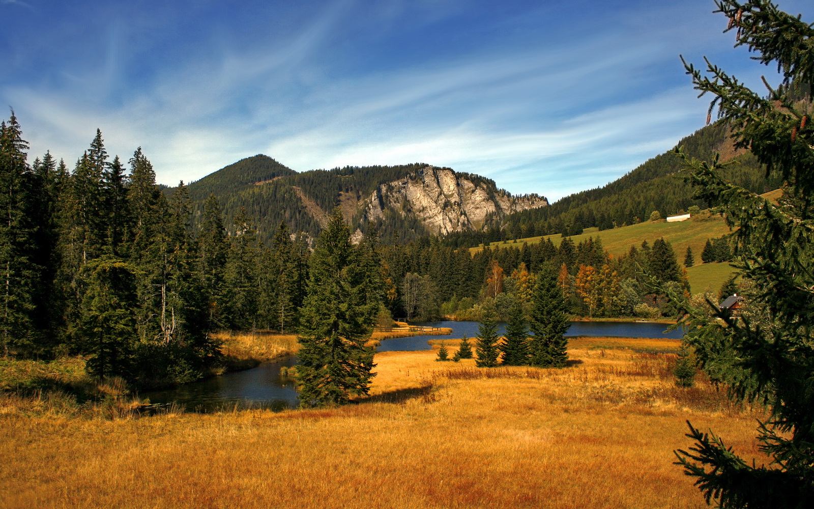 射箭赛场：心无旁骛的一箭定乾坤，射箭比赛一箭定胜负
