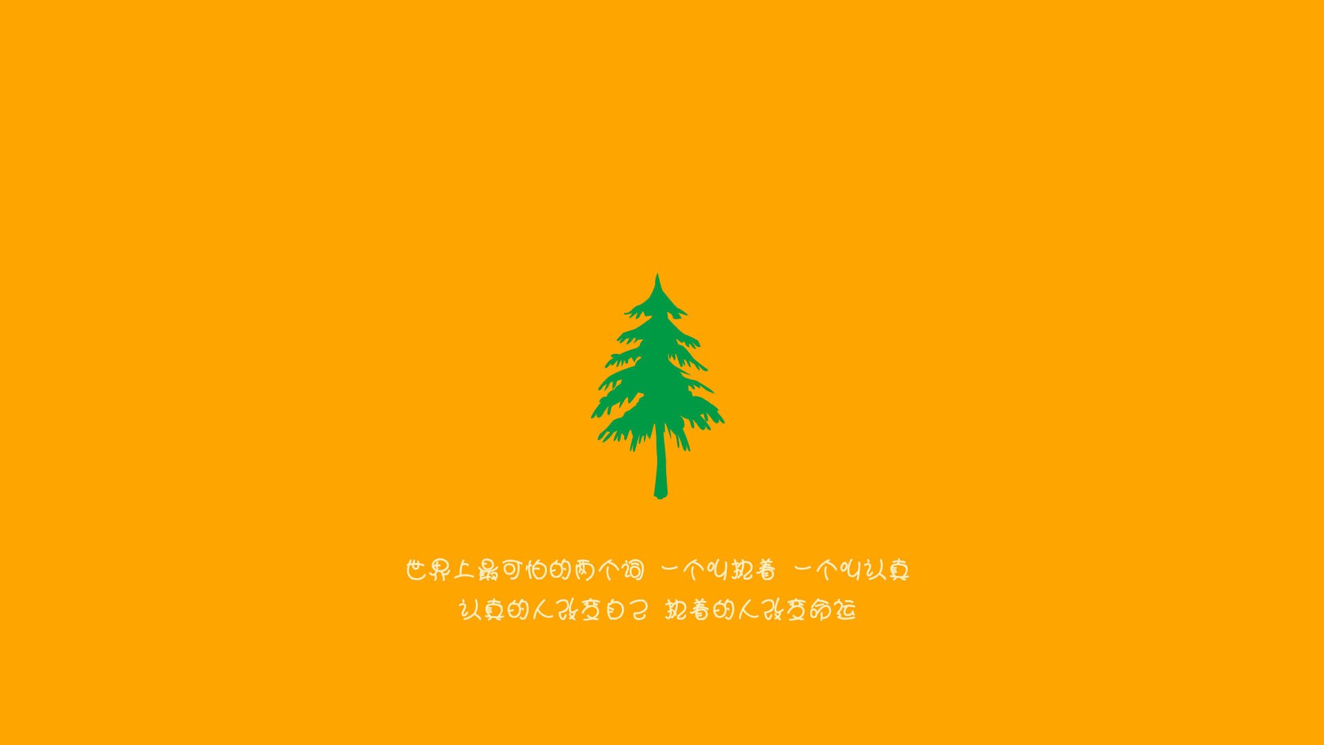 球员成长点滴：从菜鸟到联盟巨星的旅程，球员的经历