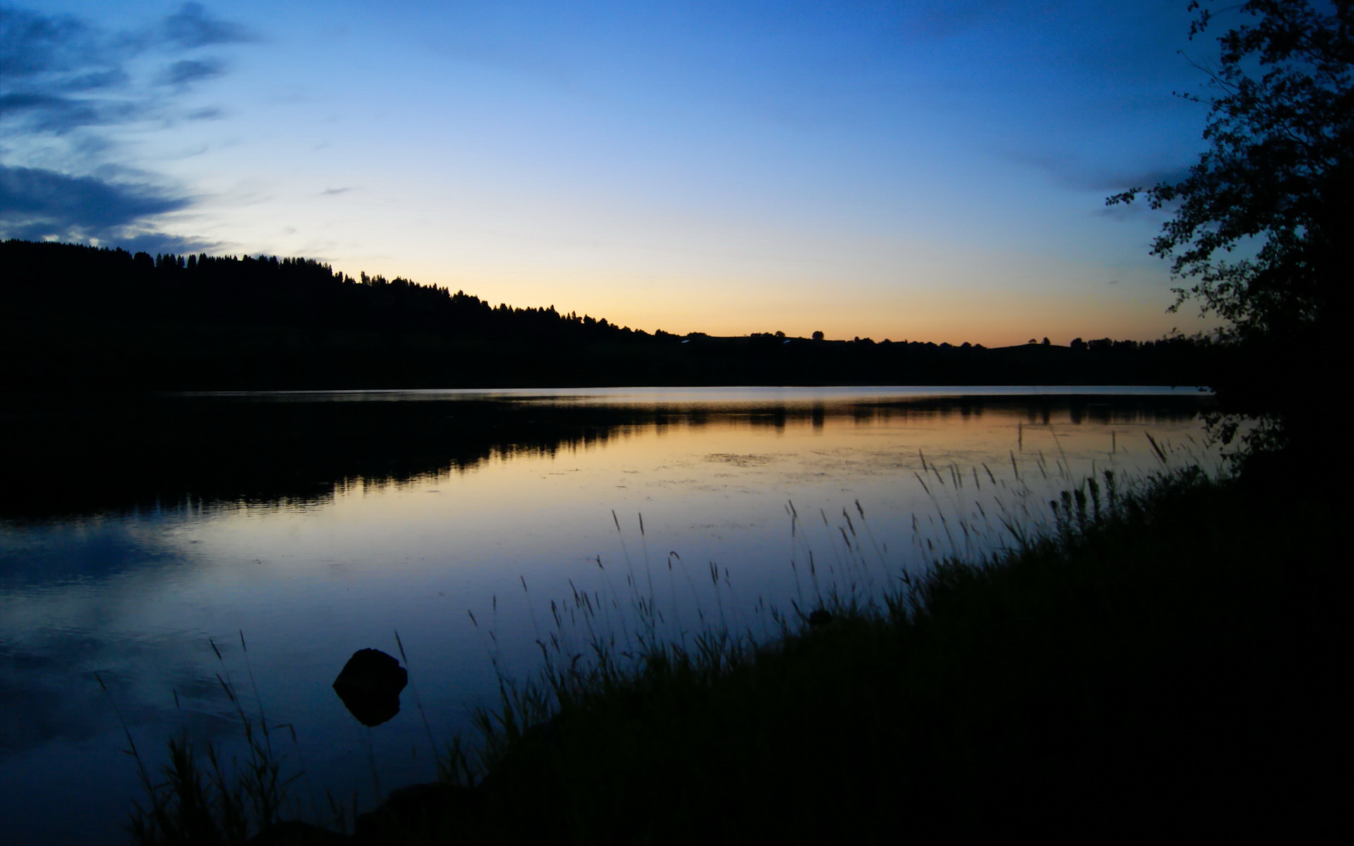 山西汾酒新秀球员训练表现抢眼,山西汾酒队现在名单