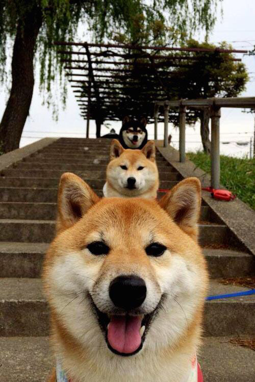 弗赖堡球员展现出色的进攻,轻松战胜对手,弗赖堡vs莱比锡比分预测