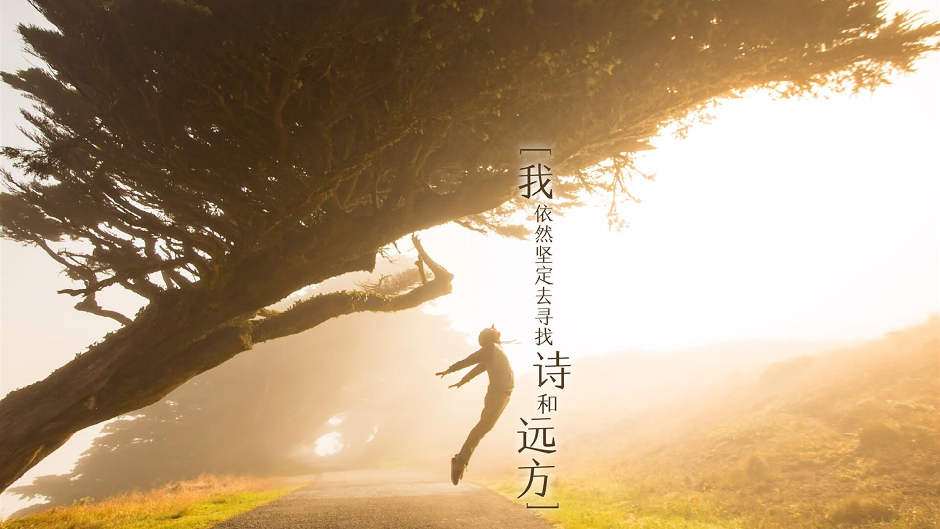 拜仁慕尼黑客场不敌马拉加，失利遗憾，拜仁慕尼黑vs马德里竞技在线播放