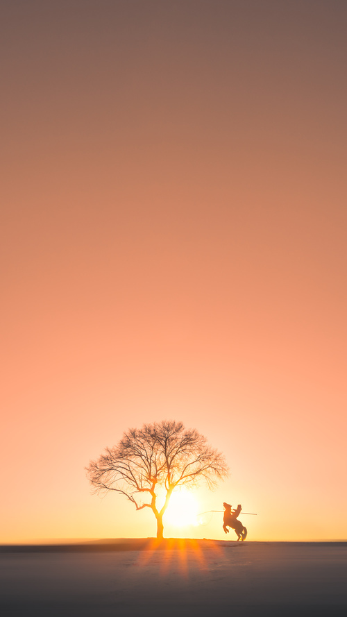 是否应设立联盟级别防守效率奖项