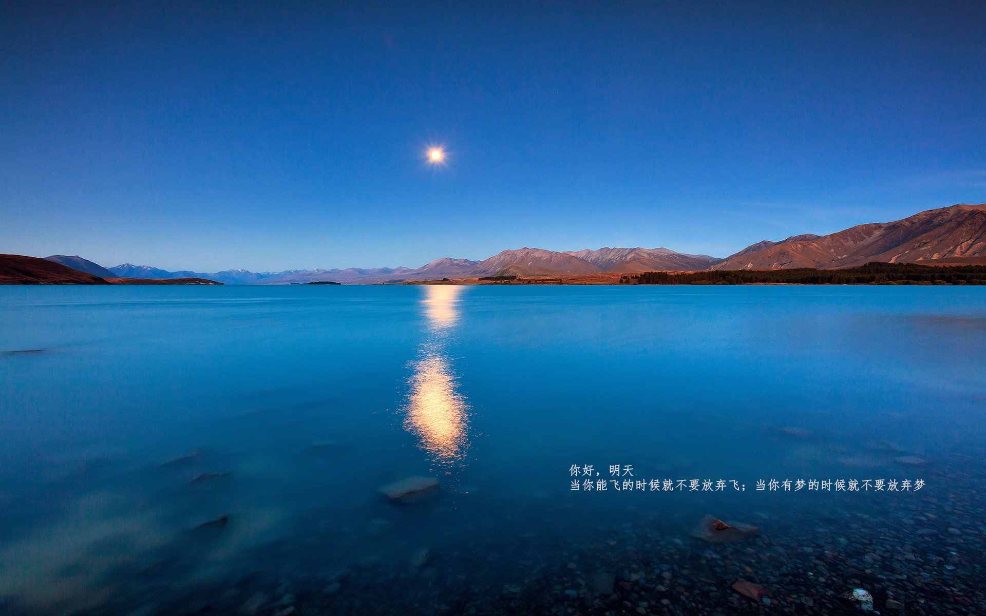 电竞社区冲突管理与和谐建设，对社区电竞运营的理解