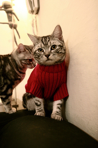 英格兰金牌梦碎夜，泪洒巴黎，英格兰顶级联赛金靴次数排名