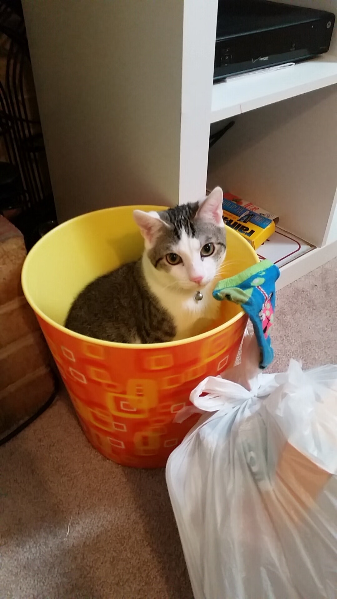 阿根廷3-1逆转巴西,晋级美洲杯四强,美洲杯_阿根廷1_0胜巴拉圭提前晋级八强