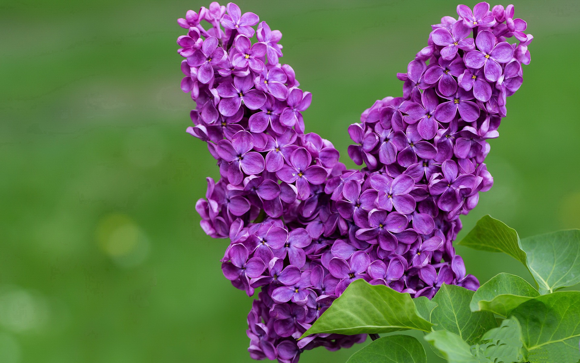 中甲俱乐部战术体系分析,中甲参赛队