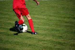 意甲裁判语义辅助判罚系统提升比赛公平性研究，意甲裁判球衣赞助商