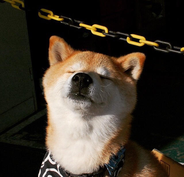 新闻中心新产品正式进入市场,新产品进入市场的行动及计划