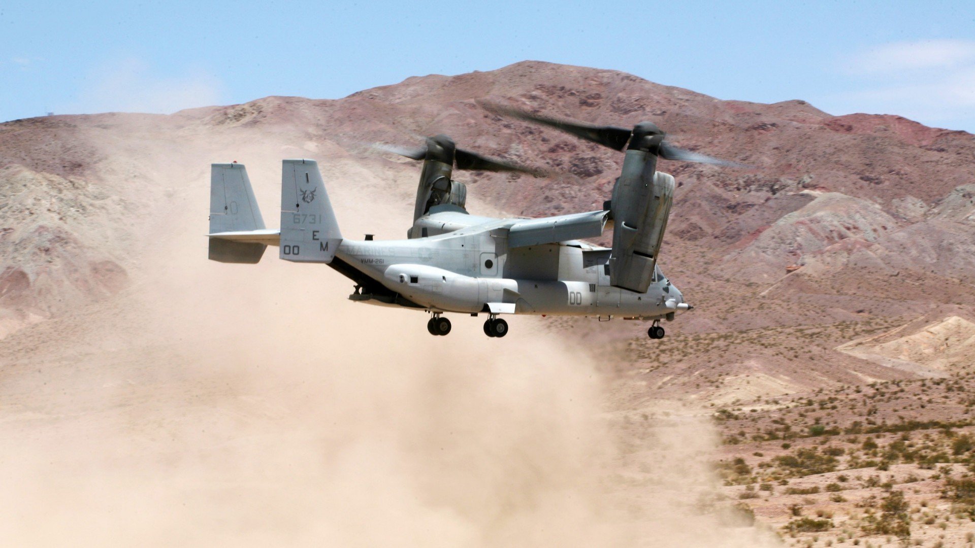 中国篮球青训体系急需重塑基础薄弱问题凸显,篮球青训是什么意思