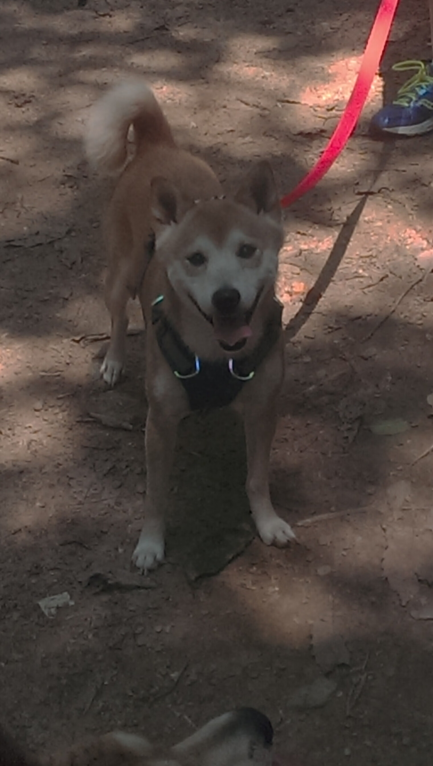 体育产业高质量发展大会聚焦数字转型,体育产业新发展格局