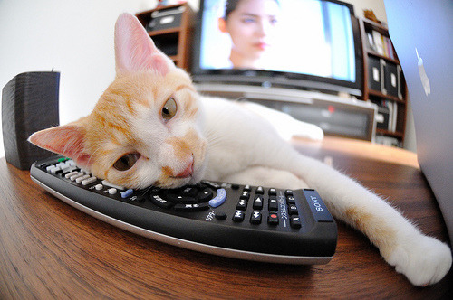 田径场新增风向提示标识助力发挥，田径项目测定风速的项目是