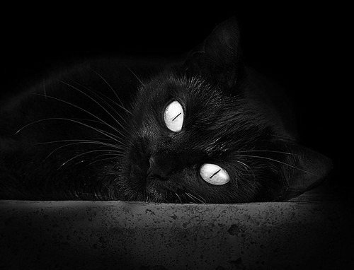 科特迪瓦男篮在非洲锦标赛中持续升温,迈向黄金时代,非洲科特迪瓦现在是什么时间